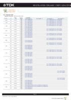 CGA X8R E3 KIT Page 17